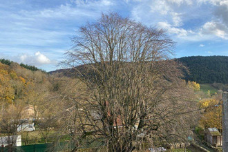 achat maison sauclieres 12230