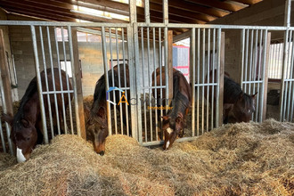 achat maison saulx 70240