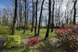 achat maison saumur 49400