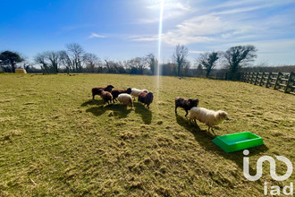 achat maison saussemesnil 50700