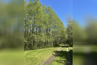 achat maison sauveterre-de-bearn 64390