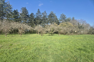 achat maison savenay 44260