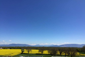 achat maison segny 01170