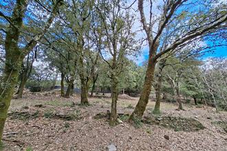 achat maison senechas 30450