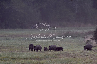 achat maison sennely 45240