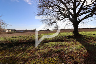 achat maison senouillac 81600