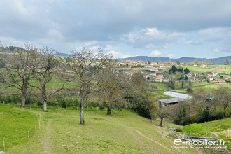 achat maison sevelinges 42460