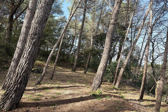 achat maison simiane-collongue 13109