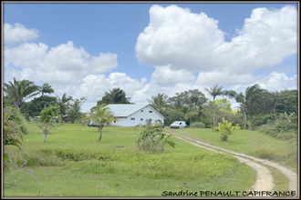 achat maison sinnamary 97315