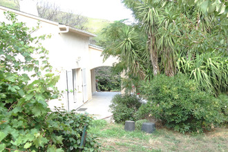 achat maison sisco 20233