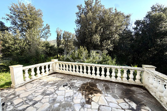 achat maison sisco 20233