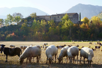 achat maison sisteron 04200