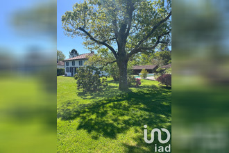 achat maison solferino 40210