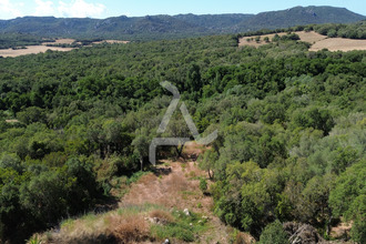 achat maison sotta 20146