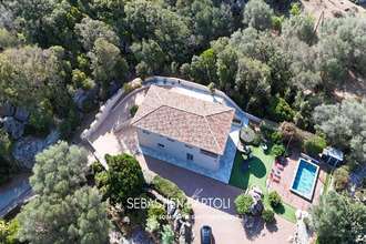 achat maison sotta 20146