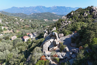 achat maison sotta 20146