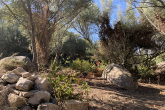 achat maison sotta 20146