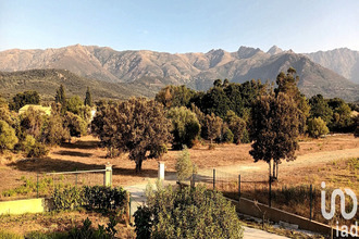 achat maison speloncato 20226