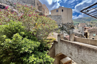 achat maison speloncato 20226