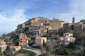 achat maison speloncato 20226