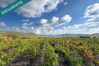 achat maison st-amour-bellevue 71570