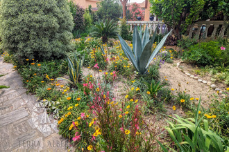 achat maison st-andre 66690