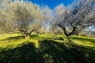 achat maison st-andre-d-olerargues 30330