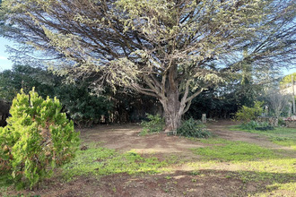 achat maison st-andre-de-sangonis 34725