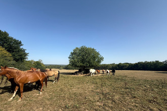 achat maison st-aquilin-de-corbion 61380