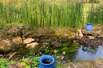 achat maison st-ave 56890