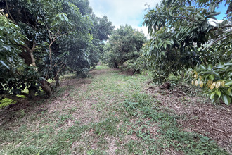 achat maison st-benoit 97437