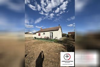 achat maison st-benoit-sur-loire 45730