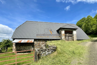 achat maison st-cernin 15310