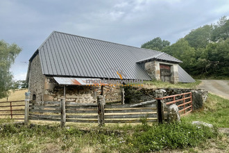 achat maison st-cernin 15310