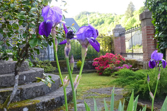 achat maison st-chamant 19380