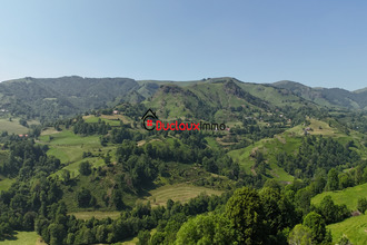 achat maison st-cirgues-de-jordanne 15590