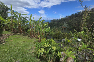 achat maison st-denis 97400