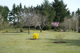 achat maison st-denis-de-l-hotel 45550