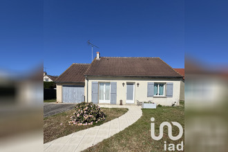 achat maison st-denis-de-l-hotel 45550