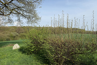 achat maison st-denis-sur-sarthon 61420