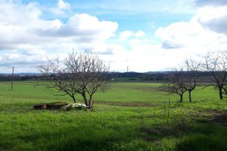 achat maison st-eutrope-de-born 47210