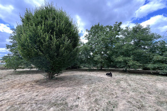 achat maison st-gaudens 31800