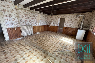 achat maison st-haon-le-vieux 42370