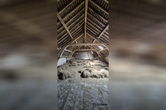 achat maison st-hilaire-les-andresis 45320