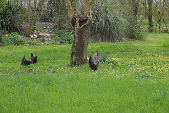 achat maison st-jean-de-liversay 17170