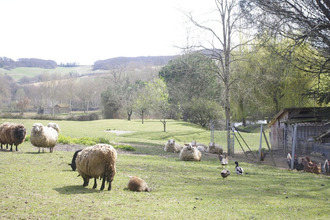 achat maison st-jean-poutge 32190