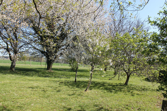 achat maison st-jory-de-chalais 24800