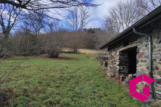 achat maison st-julien-du-pinet 43200