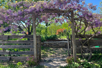 achat maison st-julien-les-rosiers 30340