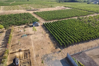 achat maison st-lambert-du-lattay 49750
